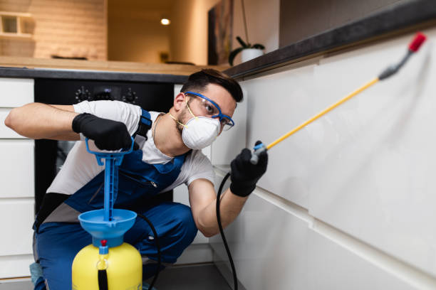 Best Local Pest Control Services  in Skyline View, PA