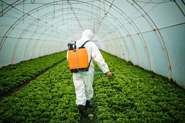 Best Residential Pest Control  in Skyline View, PA