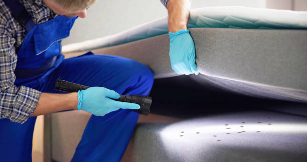 Best Cockroach Control Services  in Skyline View, PA