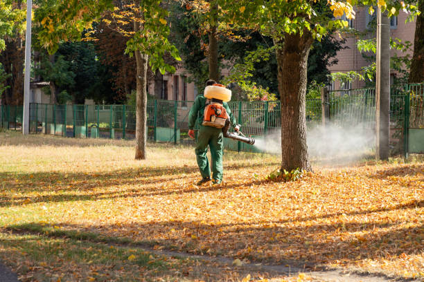 Best Mosquito Control Services  in Skyline View, PA