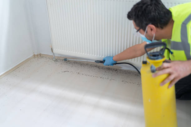 Best Pest Control for Homes  in Skyline View, PA